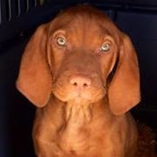 Heather Imig's photo