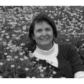 Terrie Schwartz's photo