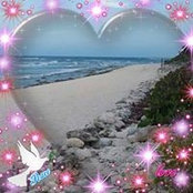 Darlene Ellerd's photo