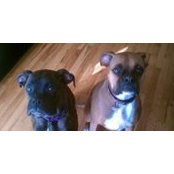 Carrie McFerron's photo