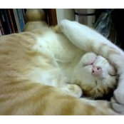 Nguyễn Nam's photo