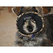 Jean Bigler's photo