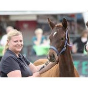Foto di Anna Böckmann