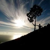 Ellie McIntyre's photo