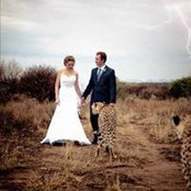 Rene Viljoen's photo