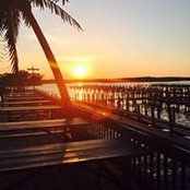 David Loes's photo