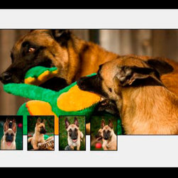 Composites - Artwork
