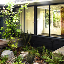 Landscape Ideas