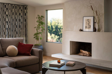 Example of a minimalist living room design in San Diego
