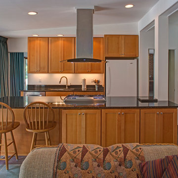 Columbia Galley Kitchen Economy Remodel