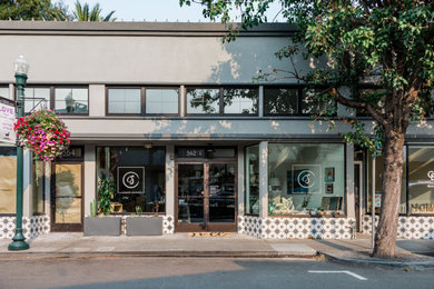 Inspiration for an eclectic home design remodel in San Francisco
