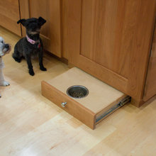 Dogs