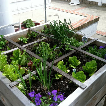 Vegetable & Herb Gardens