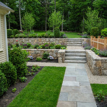 Doyle Landscape