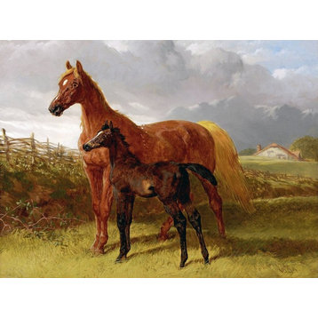 Tile Mural, A Chestnut Mare and Foal in A Field By John Frederick Herring Matte