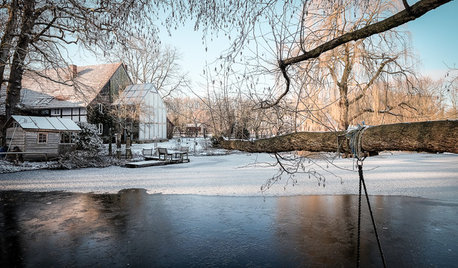 Kleine Fluchten: 18 winterliche Gärten zum Träumen