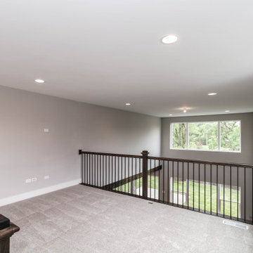 Modified Laguna I | Reserves of Dunmoor Estates Plainfield, IL