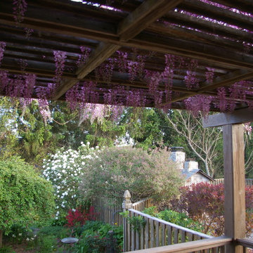 Courtyard Garden