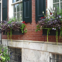 Flower Boxes
