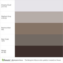 Color Chips