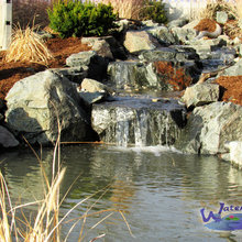 pond