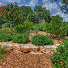 front yard