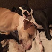 Marlon Hernandez's photo