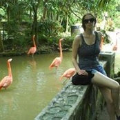 Sandra Steffenさんの写真
