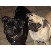 Brooke Kaufmann's photo