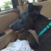 Patrick Lukaszewski's photo