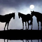 Hernandez Ann's photo