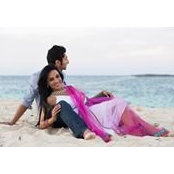 Neel Shah's photo