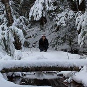 Ashley Samimi's photo