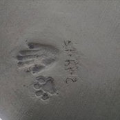 Michelle Woerner's photo