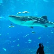Robert Meyer's photo