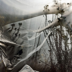 UNTITLED - Limited Ed. #1 of 15 - Fine Art Prints