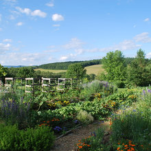Veggie Gardens
