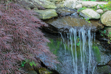Photo of a large traditional partial sun backyard stone pond in Other for spring.