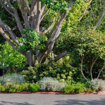 Cottage garden feels with a lot of textural interest!