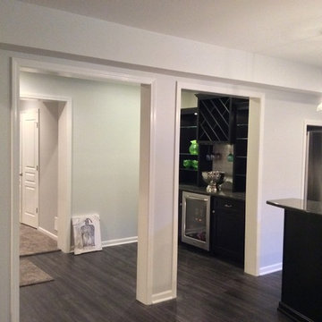 Rochester Transitional Finished Basement