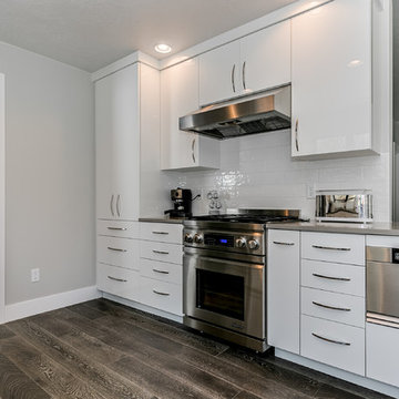 Contemporary Rennovation