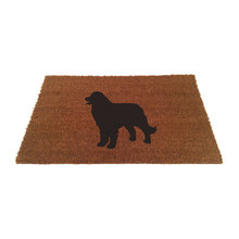 door mat