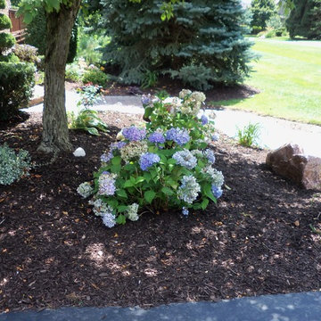 Barberry Dr. in Shelby Twp.