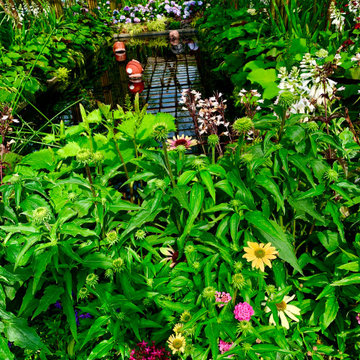 Coexist Habitat Living " Dancing with Nature"
