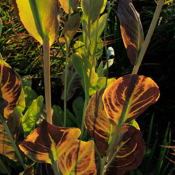 The DPG Farm Gardens, East Vincent Township