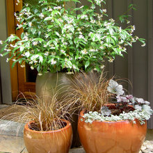 Planters