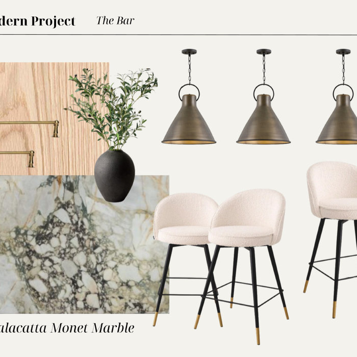 The Family Modern Project- Basement Bar and Kitchenette Update. Optimal for Entertaining and Hosting