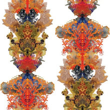 Fabric