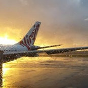 Mike Kelly's photo