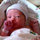 tammy_doud